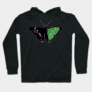 Butterfly 01d, transparent background Hoodie